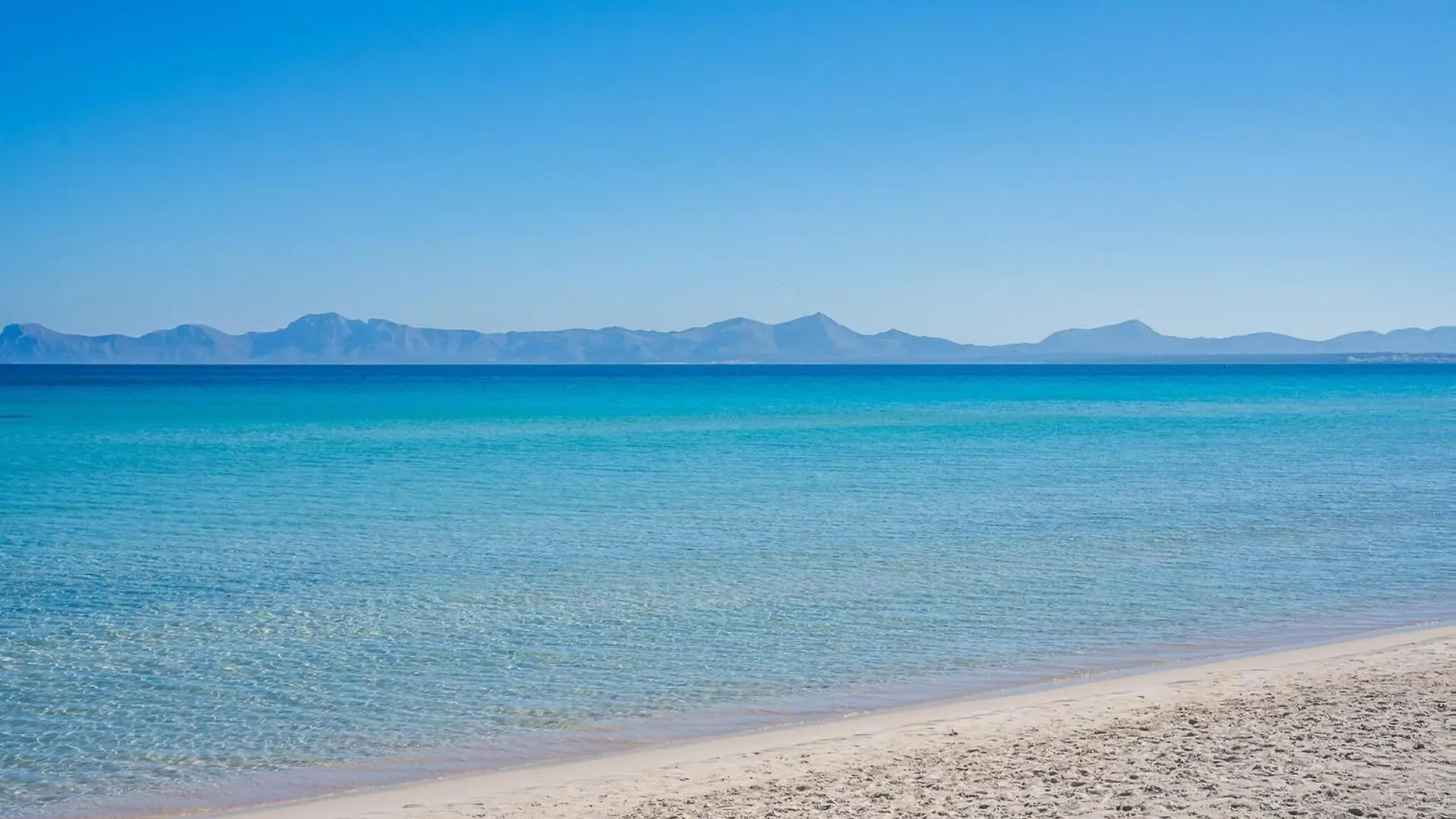Charming Sea View Apartment In Alcudia